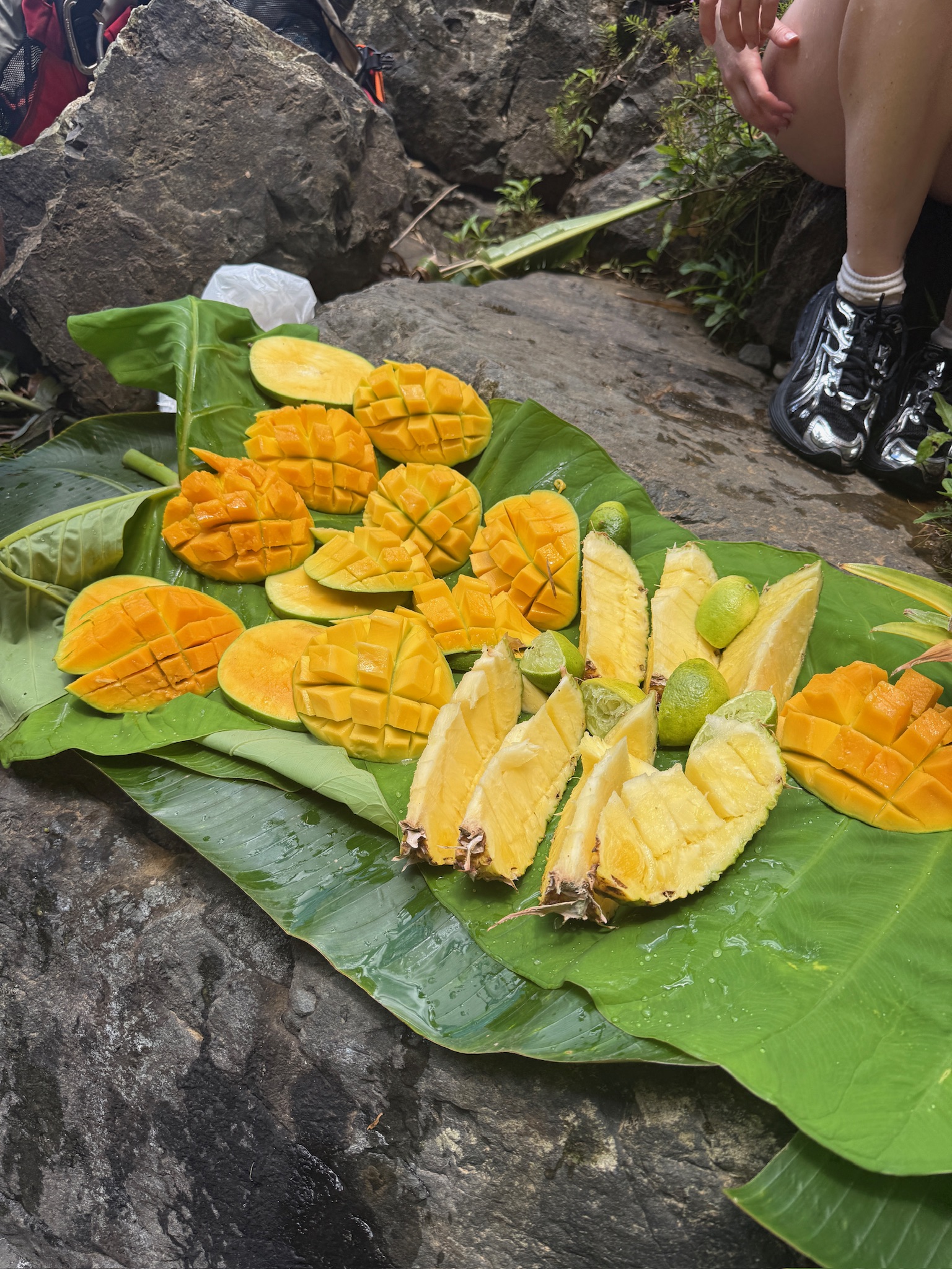 fruits on a giant banana leaf